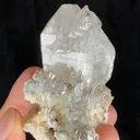 specimen video