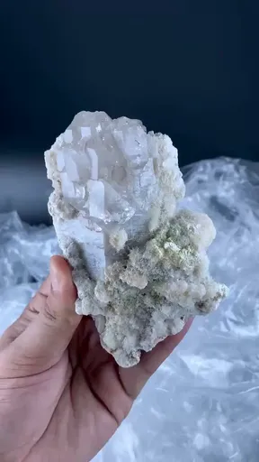 specimen video