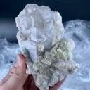 specimen video