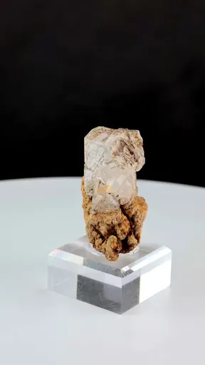 specimen video