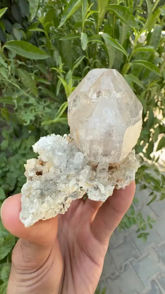 specimen video
