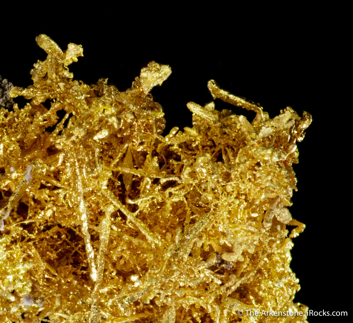 Wire Gold with Ferberite - image 5