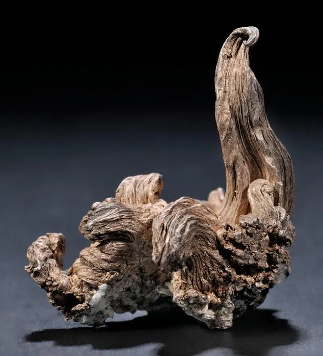 Wire Silver, Acanthite - image 1