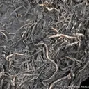 Wire Silver on Tetrahedrite - image 3