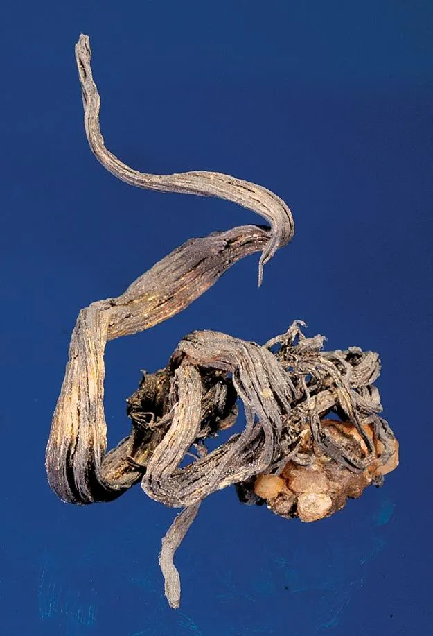 Wire Silver with Calcite - image 1