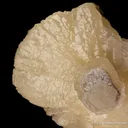 Witherite with Alstonite - image 5