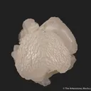 Witherite with Marcasite balls - image 6