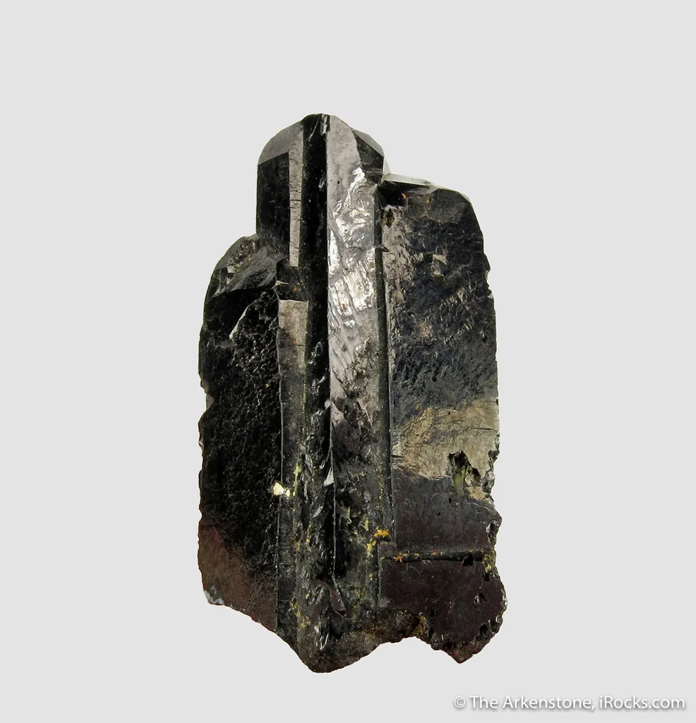 Wodginite Epitaxial on Cassiterite image