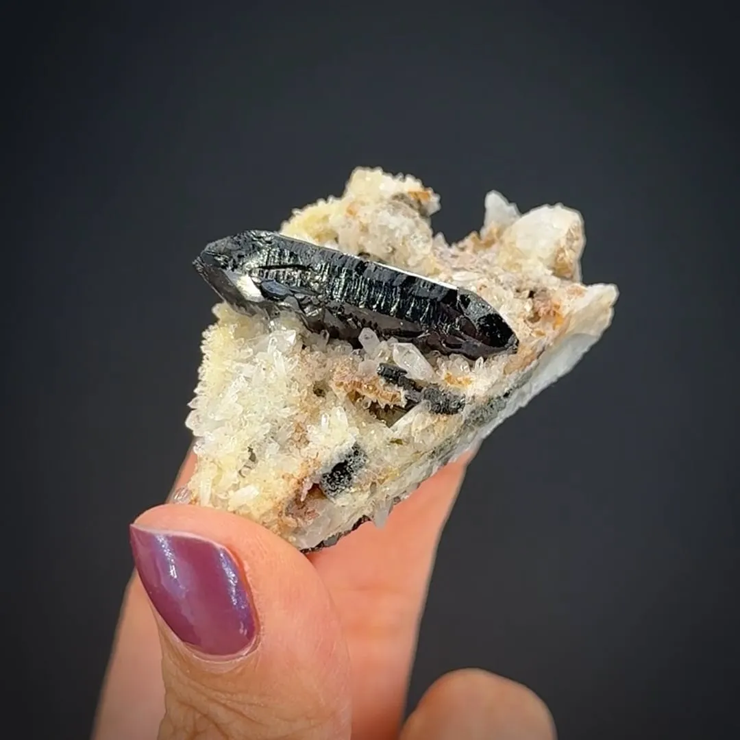 Wodginite on Quartz - image 1