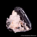 Wodginite on Quartz - image 3