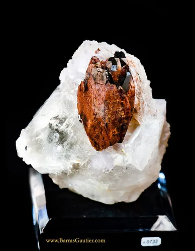 Wodginite / tantalowodginite - image 3