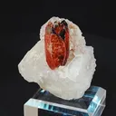 specimen video