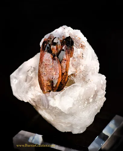 Wodginite / tantalowodginite image