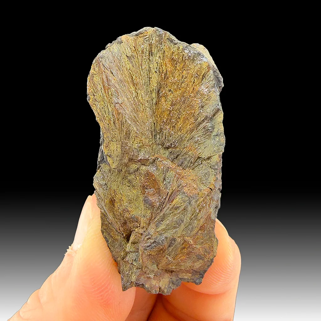 Wolfeite image