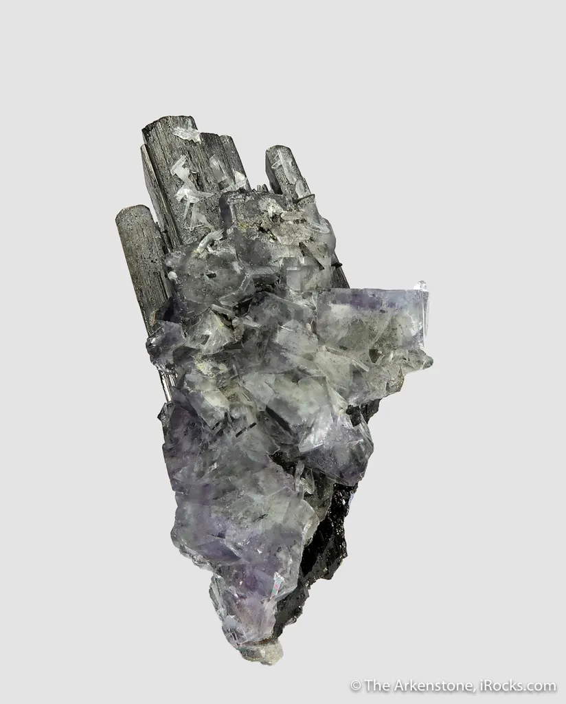 Wolframite and Fluorite with Pyrite - image 14