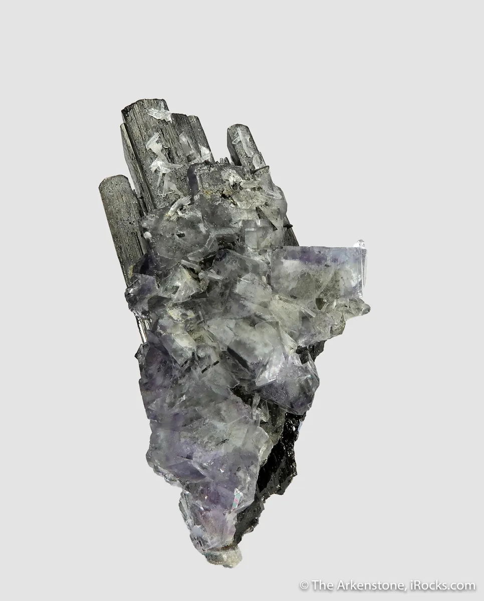 Wolframite and Fluorite with Pyrite - image 6