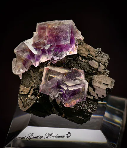 Wolframite Fluorite image