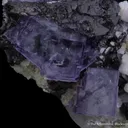 Wolframite, Fluorite, Quartz - image 2