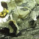 Wolframite with Arsenopyrite, Pyrite, and Muscovite, on Quartz - image 3