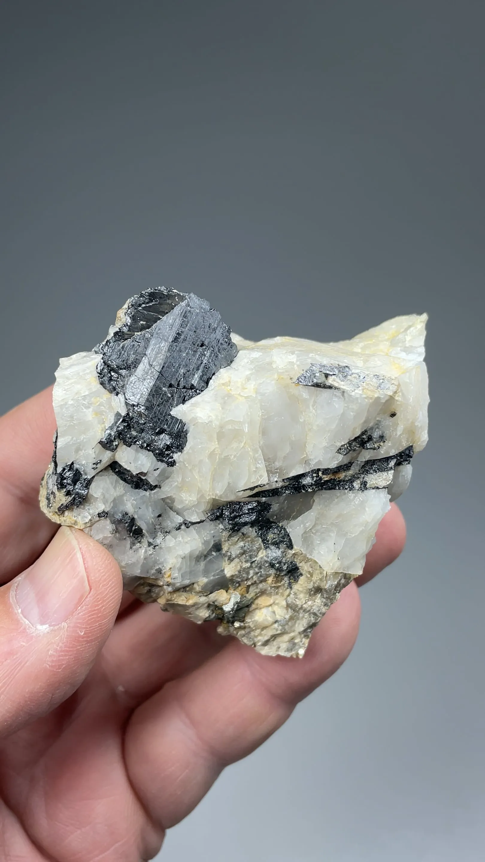 Wolframite with Scheelite, Quartz - image 2