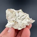 Wollastonite - image 1