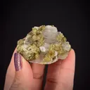 Wollastonite and Vesuvianite - image 1