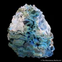 Woodwardite from Qinglong Mine, Guizhou, China - image 1