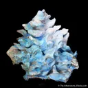 Woodwardite from Qinglong Mine, Guizhou, China - image 1