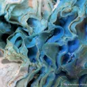 Woodwardite from Qinglong Mine, Guizhou, China - image 4