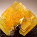 Wulfenite - image 1