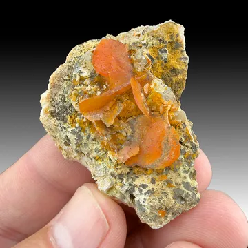 Wulfenite