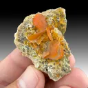 Wulfenite - image 1