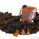 Wulfenite - image 1