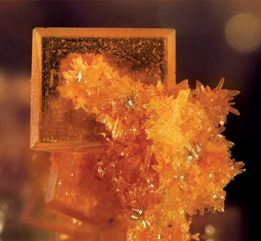 Wulfenite - image 1