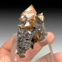 Wulfenite (1203) - image 1