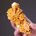 Wulfenite - image 2