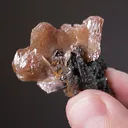 Wulfenite - image 2