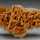 Wulfenite - image 1
