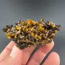 Wulfenite - image 1