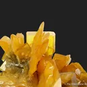 Wulfenite (1994 project) - image 3