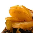 Wulfenite - image 2