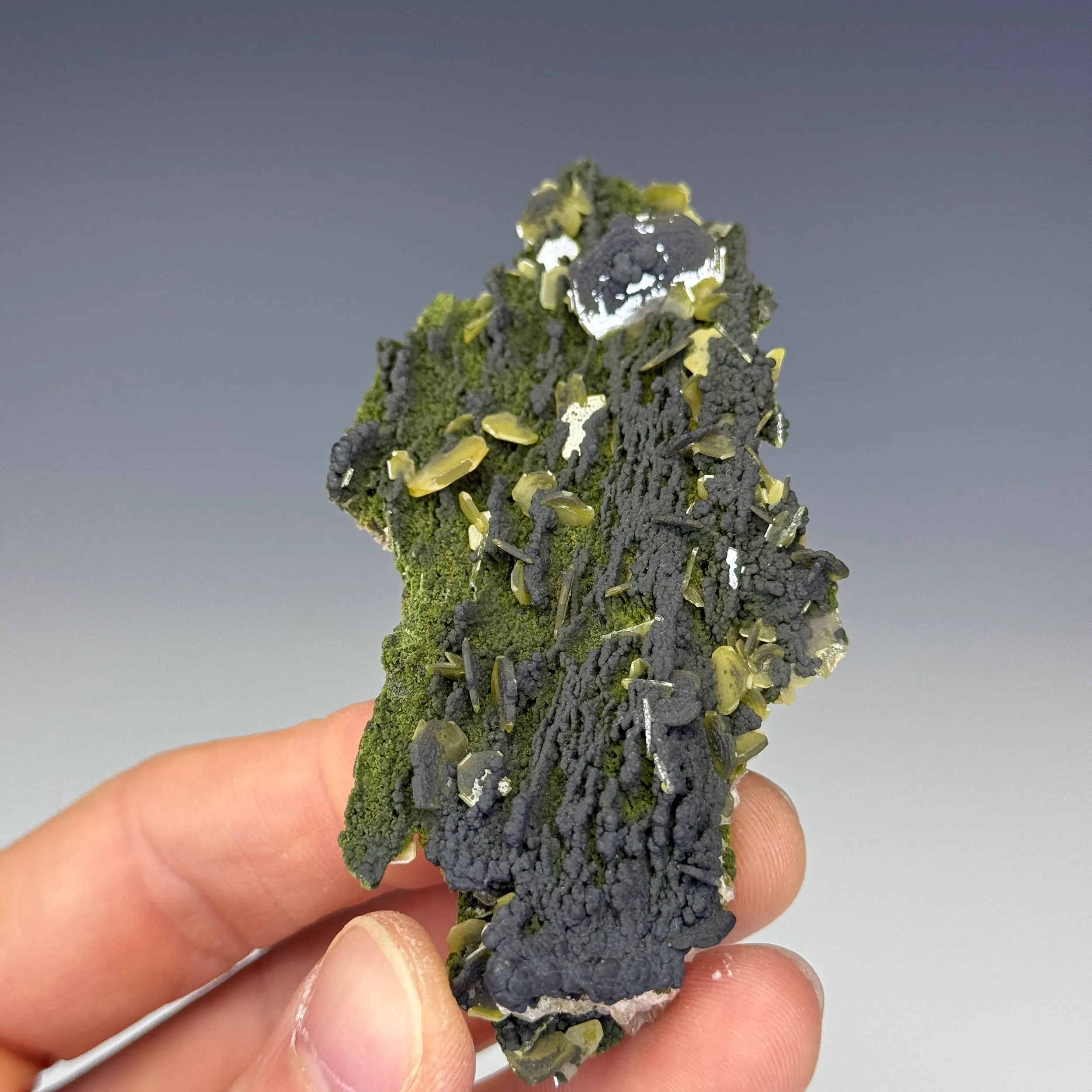 Wulfenite - image 3