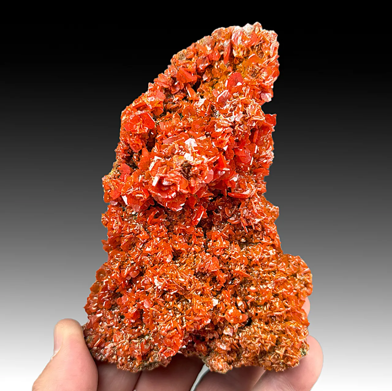 Wulfenite - image 1
