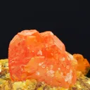 Wulfenite 28 grams - Mibladen mining district, Morocco - image 2