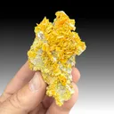 Wulfenite - image 1