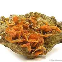 Wulfenite - image 2