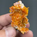 Wulfenite - image 2