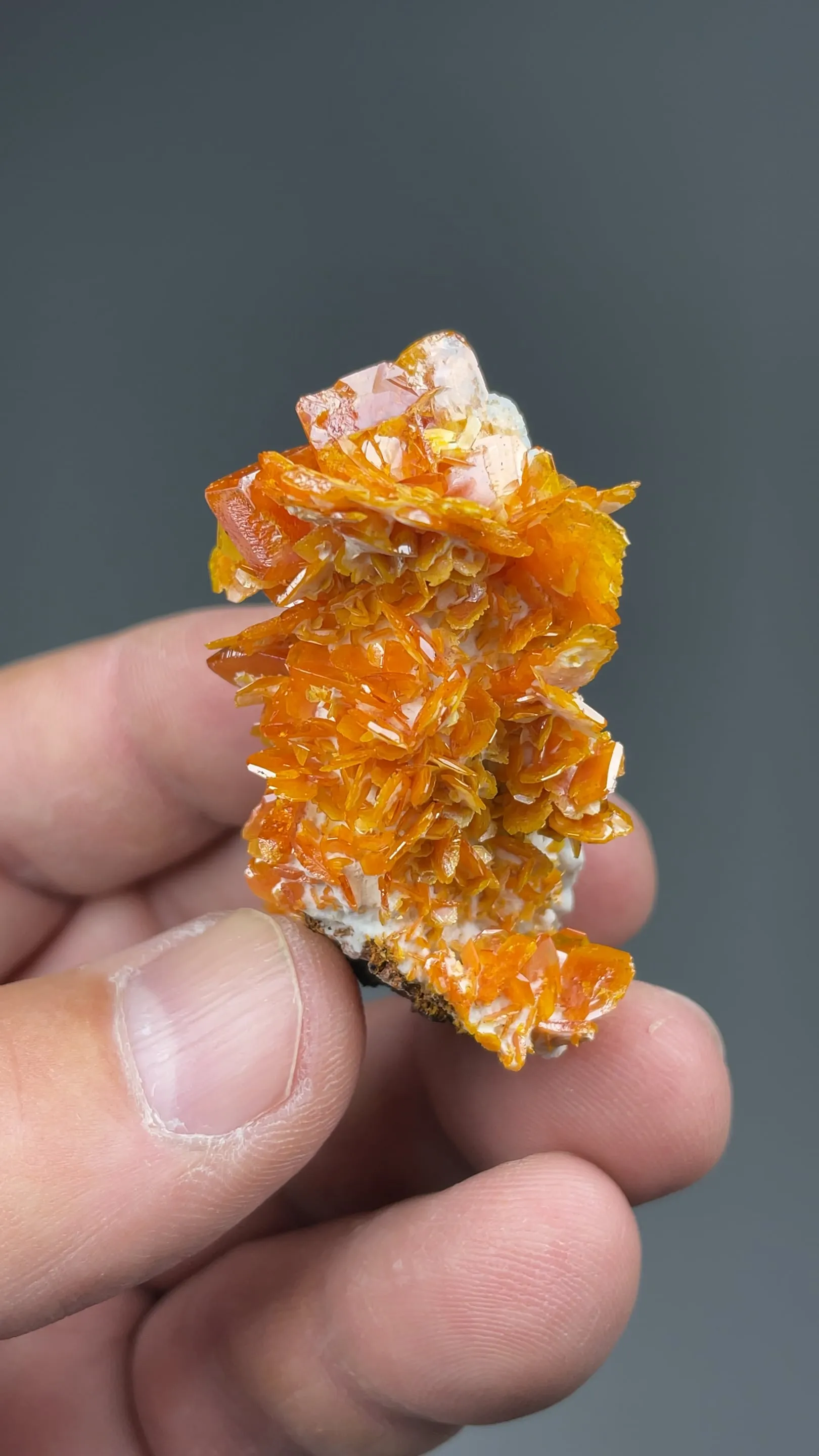 Wulfenite - image 2