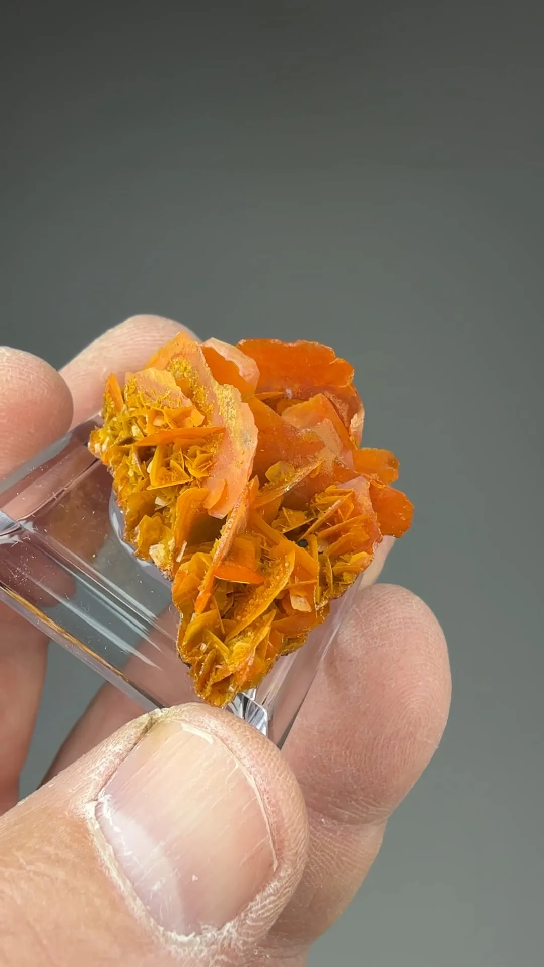 Wulfenite - image 2