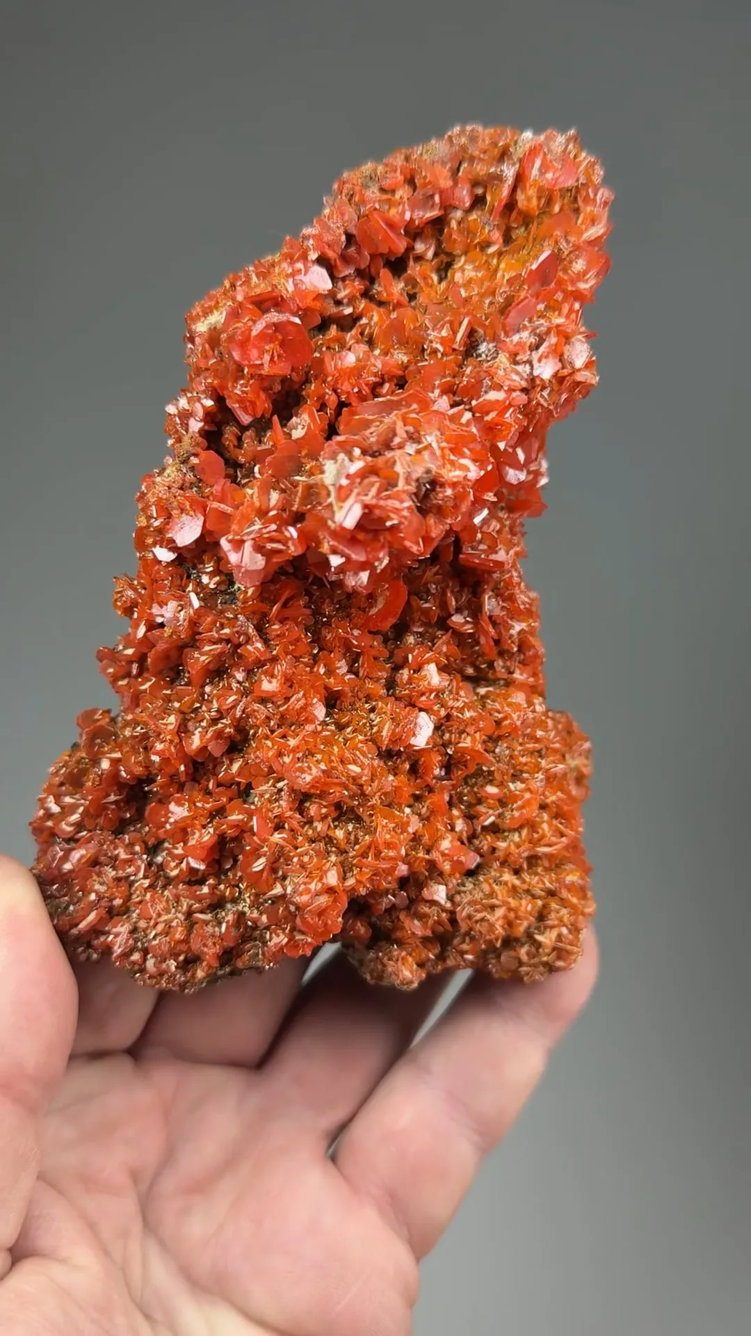 Wulfenite - image 2
